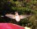 Apr_23_012