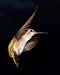 May_02_001