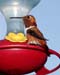 May_05_005
