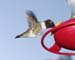 May_05_007