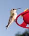 May_05_008