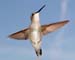 May_05_014