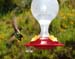 May_06_016