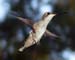 June_05_015