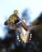 June_05_016