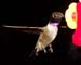 June_05_019