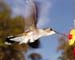 June_06_020
