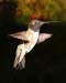 June_06_025
