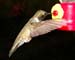 June_06_026