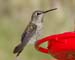 June_24_027