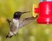 June_26_001