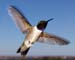 June_27_011