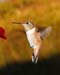 July_14_036