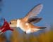 July_14_039