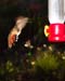 July_17_053