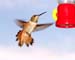 July_23_056