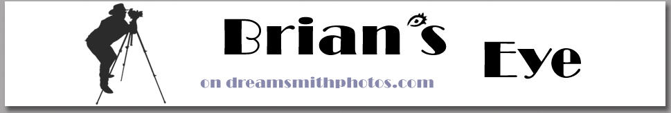 brians eye logo and name